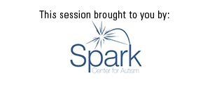 sponsor logo spark center